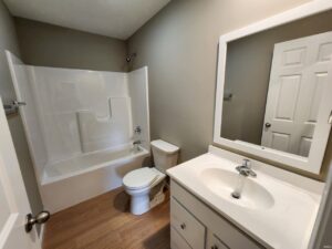 Modern bathroom design featuring a sleek bathtub, toilet, and stylish vanity mirror.