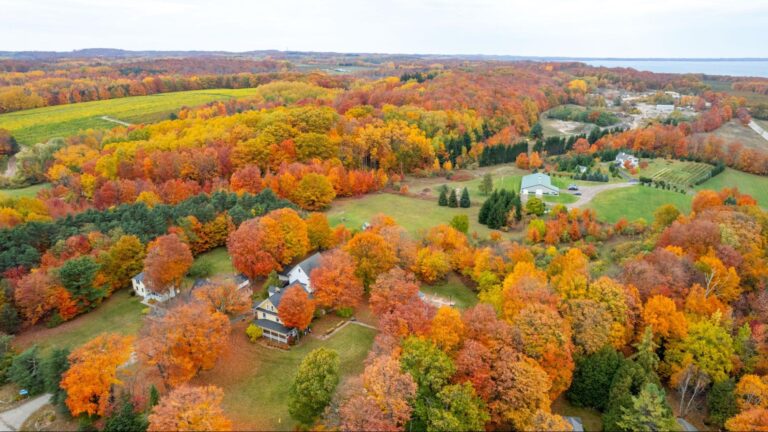 Vibrant autumn landscape featuring colorful foliage in a serene countryside setting.