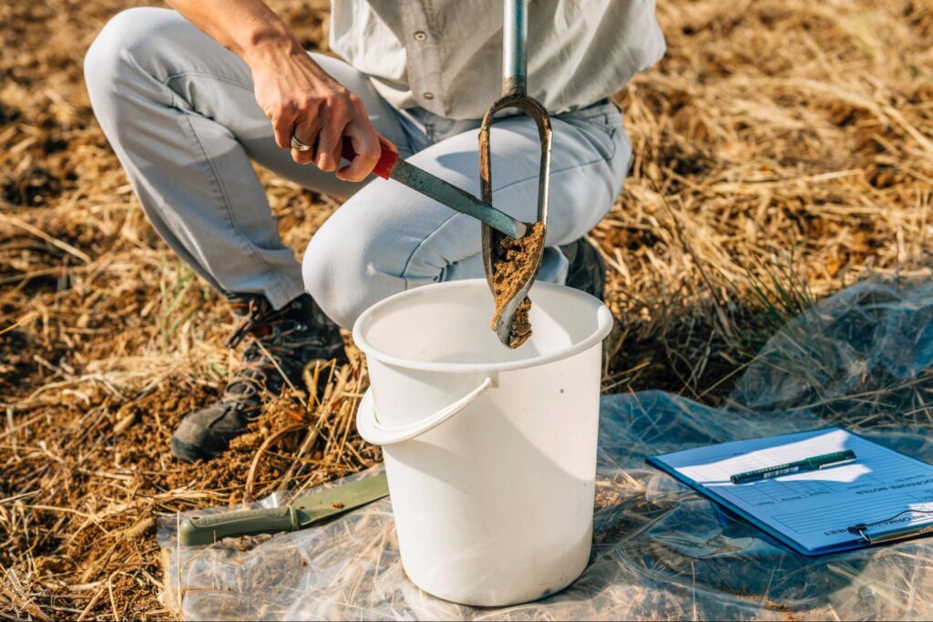 Soil sampling process with a spade and bucket for agricultural analysis.