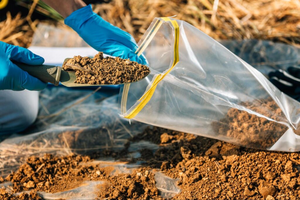 Collecting soil samples for analysis in a research study.