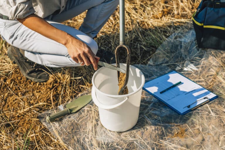 Woman agronomist collecting soil samples for environmental research and organic certification.