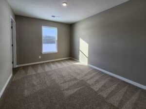 Bright, airy room with fresh carpet, sunlight streaming through a window.