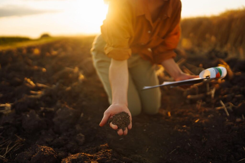 Soil analysis at sunset reveals rich nutrients for healthy agriculture practices.